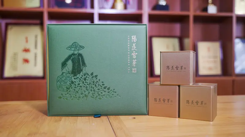 阳羡雪芽·绿茶